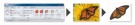 PE Design 11 Broderiprogramvare thumbnail